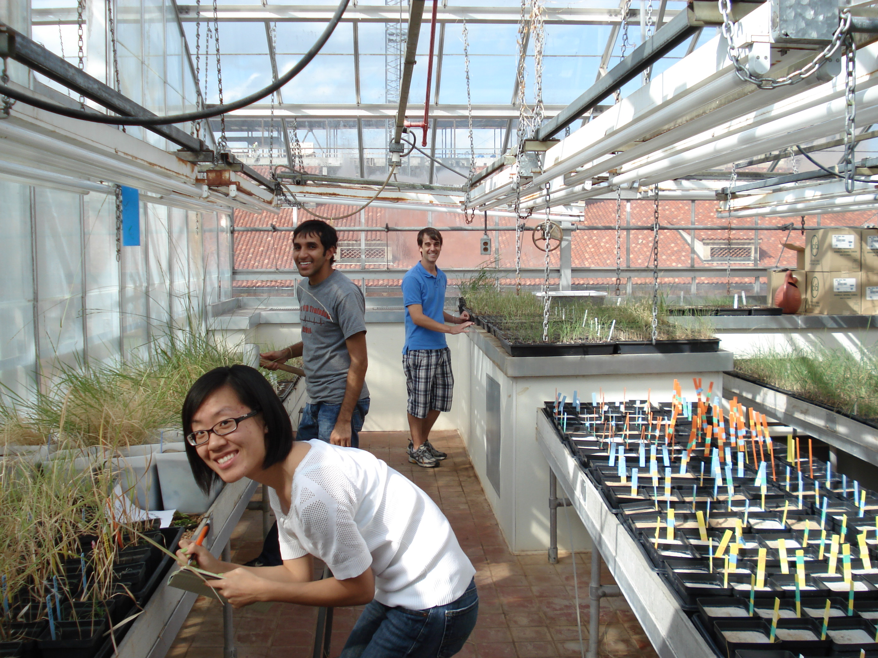 Students in the greenhouse