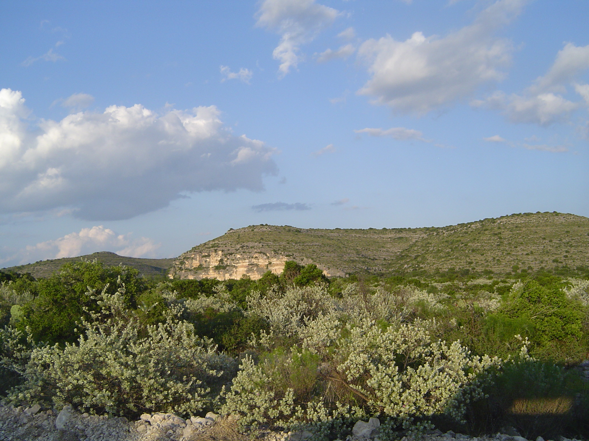 Field site