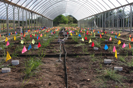 Field Site