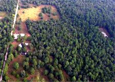 Aerial view of Stengl Biology State (Lost Pines). Photo: Phil Schappert