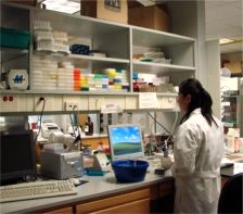 DNA facility
