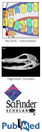 Bio-DOC, Digimorph, SciFinder Scholar and PubMed