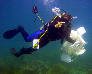 Mikhail Matz, UT integrative biology professor, will use the new Inland Reef Simulator to continue his research on how corals adapt to environmental changes. Photo: Lonnie Anderson