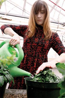 Liz Ramsey, UT School of Biological Sciences graduate student, waters her plants which will produce seeds for a rare species Monday afternoon. Media Credit: Wenjing Zhang