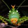 yasuni katydid