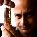 Sahotra Sarkar with insect