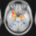 Open fMRI Project