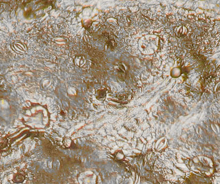 FRVE2-A7-381374-100x-16-5in