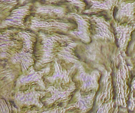 FRVE2-AZ-400x-06-5in