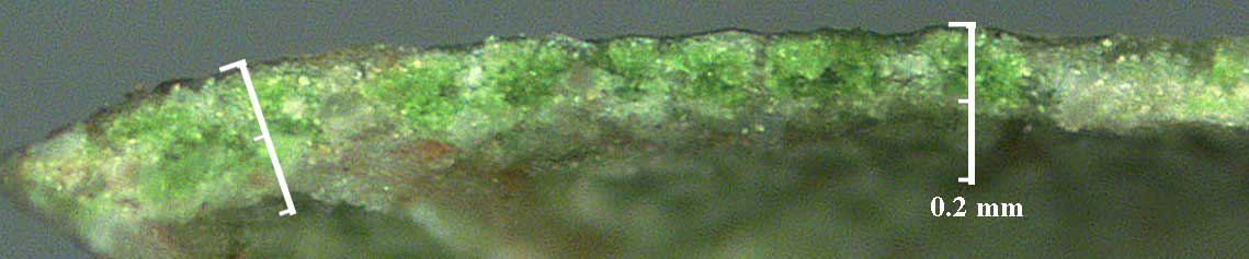 FRPE-lfcutdet-45x-16in