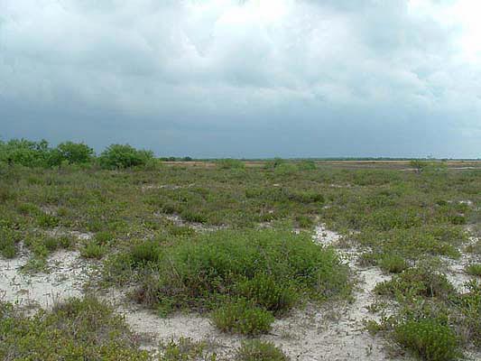 ISCO-MAYTE-JATRO-ECHIN0023